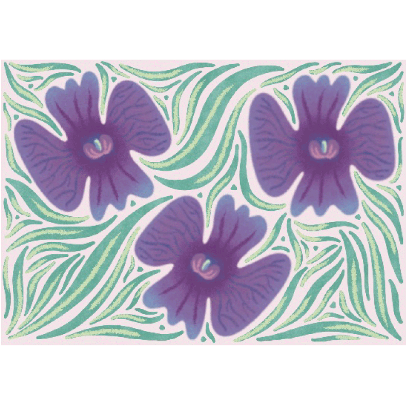 carte-fleurie-orchidee-violette-et-rose